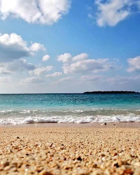 牧田習さんのインスタグラム写真 - (牧田習Instagram)「うみーーー！！！ すなはまーー！！！  と見せかけて、砂浜にはたくさんの昆虫が生息しているんです。  今年の夏はコロナウイルスの影響もあって、海や砂浜に行けないかもしれないですが、是非いつか平穏な日々が戻ったら砂浜で虫探しも楽しいかもですよ？？🌊  #風景」7月7日 20時34分 - shu1014my