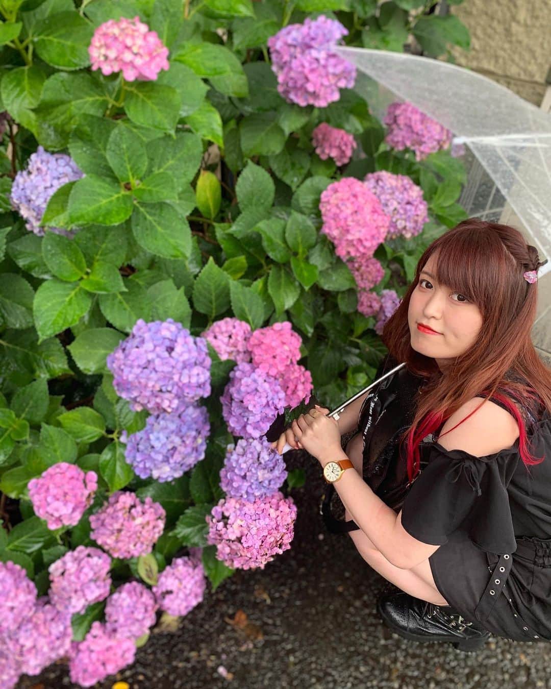 入江綾乃のインスタグラム：「. . . . 最後の写真のポイントはマスターが写ってることです。 . . . #あじさい #紫陽花 #アジサイ #白山 #神社 #声優 #俳優 #アクトレスガールズ #カメラ #撮影モデル #被写体 #ファインダー越しの私の世界 #ファッション #お洒落さんと繋がりたい #写真撮ってる人と繋がりたい #love #instagood #photooftheday #fashion #beauty #happy #cute #selfie #follow #camera #photography #photo #prowrestling #instalike」