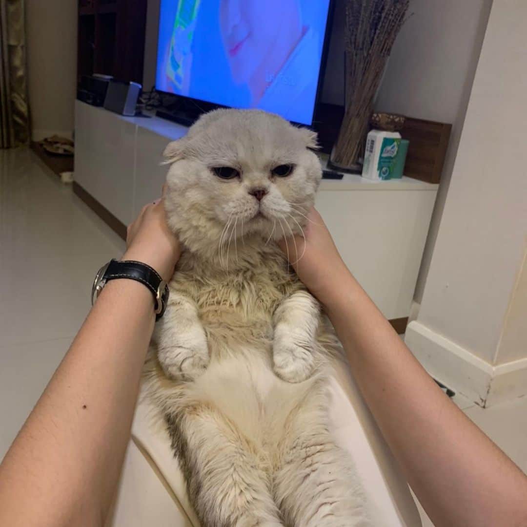 Haruのインスタグラム
