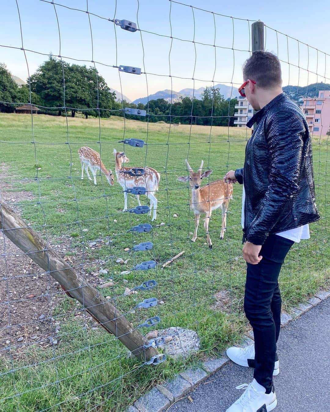 ホルヘ・ロレンソさんのインスタグラム写真 - (ホルヘ・ロレンソInstagram)「Only in switzerland 🇨🇭  #bambi 🦌」7月7日 21時16分 - jorgelorenzo99