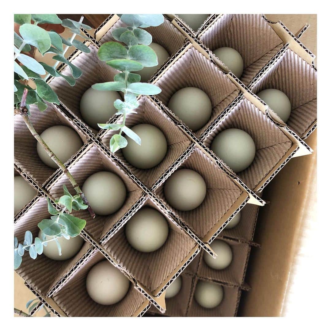 チョン・ヘヨンさんのインスタグラム写真 - (チョン・ヘヨンInstagram)「🥚🍳 푸르스름 처음 마주한 청계란  계란이 초록빛이라니💚 오늘 아침은 너」7月8日 8時05分 - hydrangea_garden