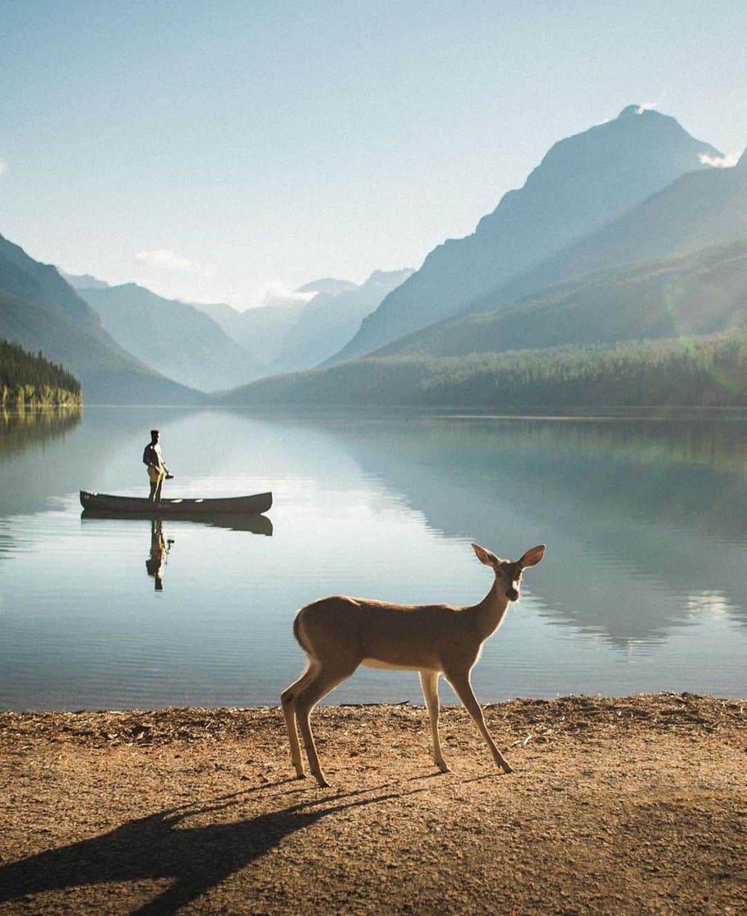 Canon Photographyさんのインスタグラム写真 - (Canon PhotographyInstagram)「Monuments in Montana  Photography - @justindkauffman  Curated by @henry.nathan  #montana #deer #lake #mountains #glacier」7月7日 23時45分 - cpcollectives