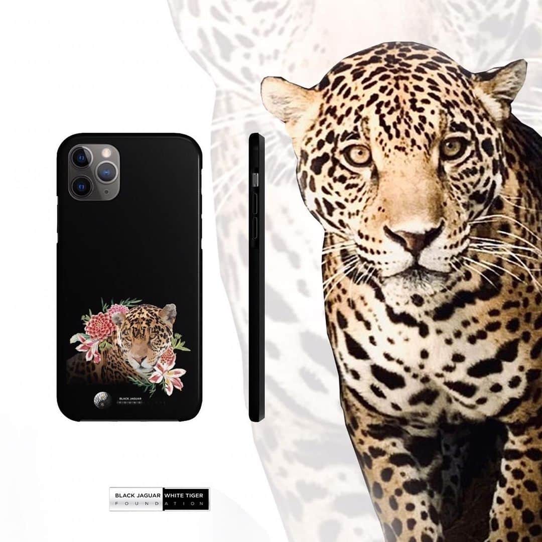 Black Jaguar-White Tiger さんのインスタグラム写真 - (Black Jaguar-White Tiger Instagram)「Jade collection :) www.BJWTshop.com」7月8日 1時57分 - blackjaguarwhitetiger