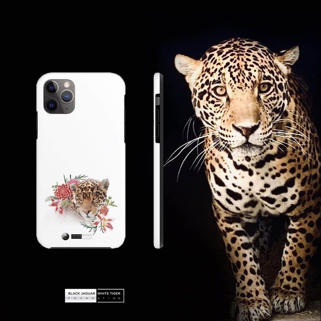 Black Jaguar-White Tiger さんのインスタグラム写真 - (Black Jaguar-White Tiger Instagram)「Jade collection :) www.BJWTshop.com」7月8日 1時57分 - blackjaguarwhitetiger