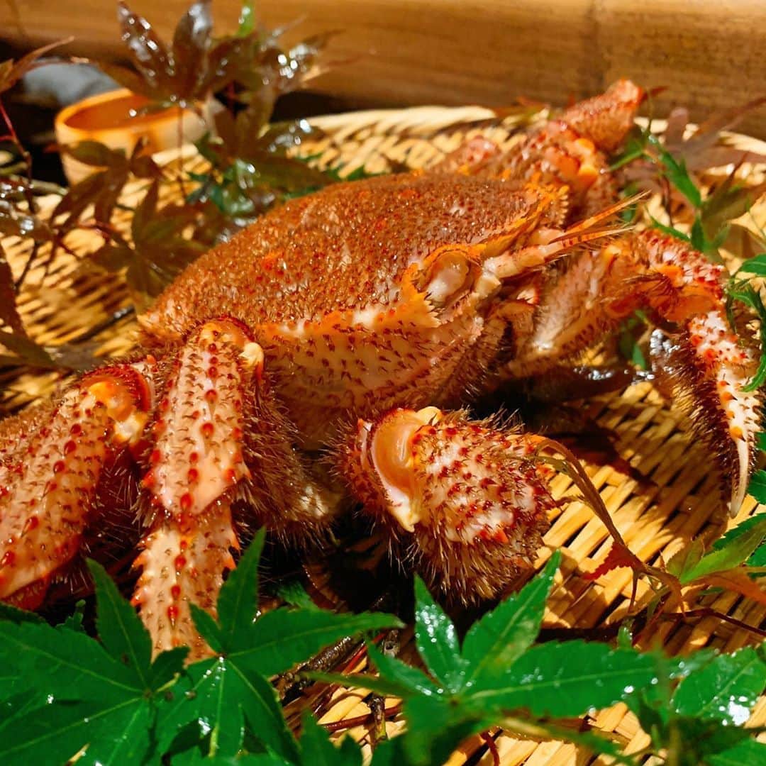 あんちゃんのグルメインスタ