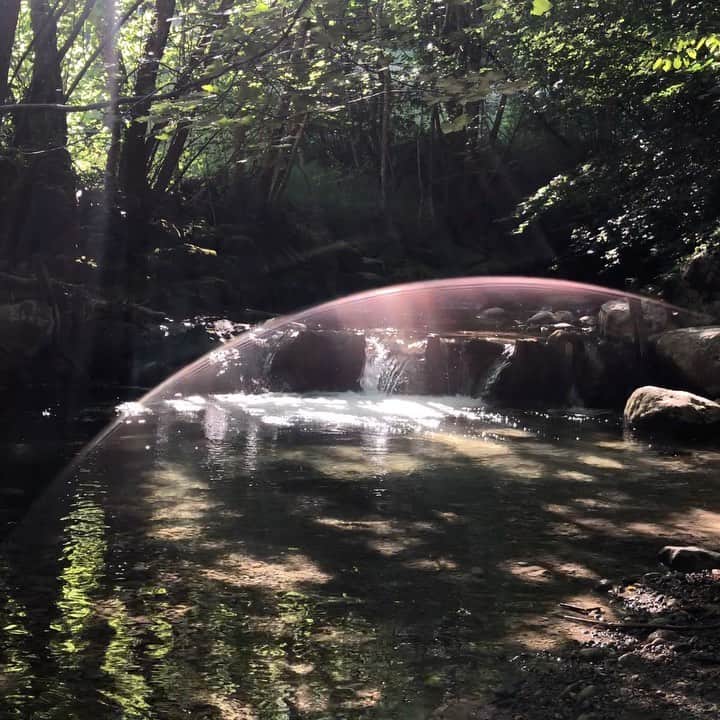 クリスティナ・バザンのインスタグラム：「Magic moments, a corner of peace 🌿」
