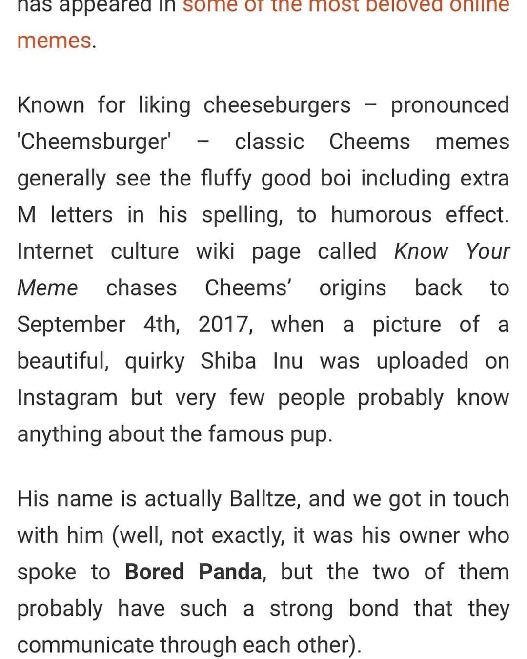 Balltze My name is Ballさんのインスタグラム写真 - (Balltze My name is BallInstagram)「Wala! I’m on @boredpanda too!  https://www.boredpanda.com/shiba-cheems-meme-dog-balltze/ #fat96 #balltze #nomnomnomclub #yos #cheems ?」7月8日 2時52分 - balltze
