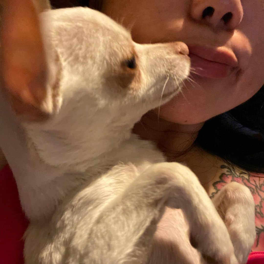 マーガレット・チョーさんのインスタグラム写真 - (マーガレット・チョーInstagram)「This dog is the #best #chihuahua #rescuedogsofinstagram #rescuedog #dog #love」7月8日 4時12分 - margaret_cho