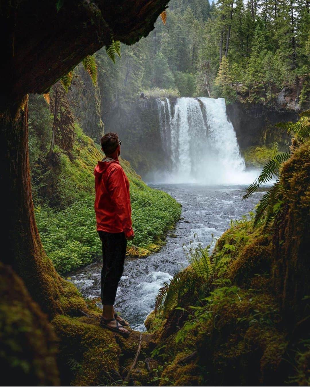 FOLKのインスタグラム：「If I could just get in the car and drive anywhere right now it would be Oregon and the PNW. This photo by @chadtorkelsen is making the desire all that much stronger.」