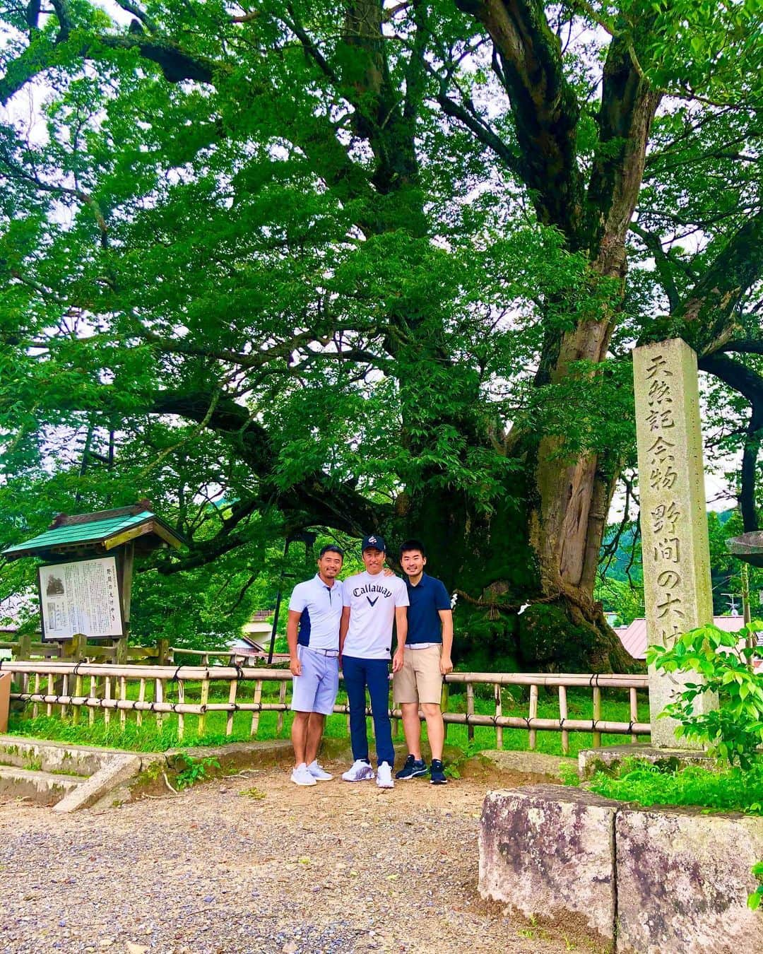 小平智さんのインスタグラム写真 - (小平智Instagram)「なんか凄い木らしい！笑 皆んな成長するために記念撮影(^^)3人とも違うところで戦ってるけど、この木のように大きくなってやるぞって感じ！笑 俺はアメリカ、川村昌弘はヨーロッパ、大浜悟さんは大阪(新地)🤣 謙虚に頑張ります🙇‍♂️ #凄い木 #凄い気 #川村昌弘 プロ #大浜悟 大阪ではゴルフ神様らしい #小平智」7月8日 16時12分 - satoshi_kodaira_official