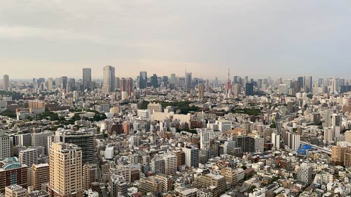 ロングレインのグルメインスタ