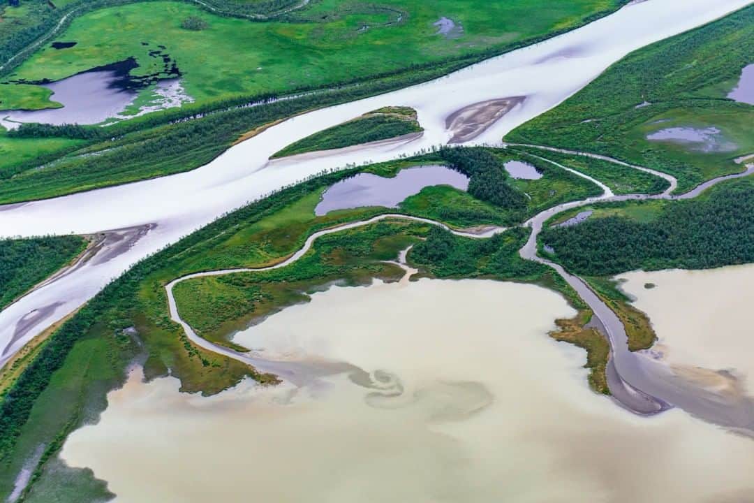 National Geographic Travelさんのインスタグラム写真 - (National Geographic TravelInstagram)「Photo by @MartinEdstrom  Looking down at nature's highways from atop Skierfe in Sarek National Park. The vast Rapa Delta is a river system that flows through this national park, and it's rumored to house the largest elk in Sweden. Follow @MartinEdstrom for more inspirational images from the Nordics. #Sweden #Nordics #Scandinavia #Sarek #hiking」7月8日 17時09分 - natgeotravel
