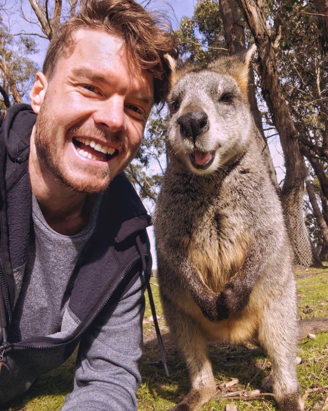 アラン・ディクソンのインスタグラム：「Click my bio link for some kangaroo baby enlightenment. Released a hilarious and shocking YouTube video! 😂🦘 Go watch, bio link!  #teampixel @googlepixel Thanks for the edit @juliatrotti  #animalselfie #wildlife #wallaby #adelaidehills #adelaide #animals」