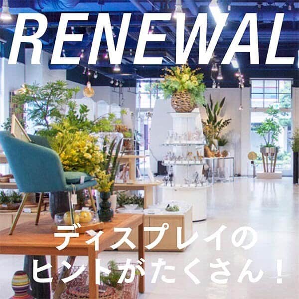 横浜ディスプレイミュージアムのインスタグラム：「🌿店舗リニューアルのお知らせ🌿  横浜ディスプレイミュージアムは改装を行い新しい空間に生まれ変わりました。 200 箇所以上のディスプレイを展示。ディスプレイや空間装飾のヒントとなるようなディスプレイを豊富に展示し、お客様へ商品を使用したイメージをよりお伝えできるようにいたしました。 ※ ソーシャルディスタンスが必要とされている今、通路幅の確保やレイアウトの変更により、よりご安心してお買い物をしていただける店内にいたしました。  それでは本日も、皆様のご来店、心よりお待ちしております✨  #横浜ディスプレイミュージアム #株式会社ポピー #横浜 #ディスプレイ#アーティフィシャルフラワー #フラワーアレンジメント #フラワーデザイン #インテリア雑貨 #インテリア#インテリアコーディネート#スタイリスト#装飾#デコレーション  #花のある暮らし #花好きな人と繋がりたい #display #yokohama #flowerarrangement #interiordesign #artficialflower #flowerstagram」