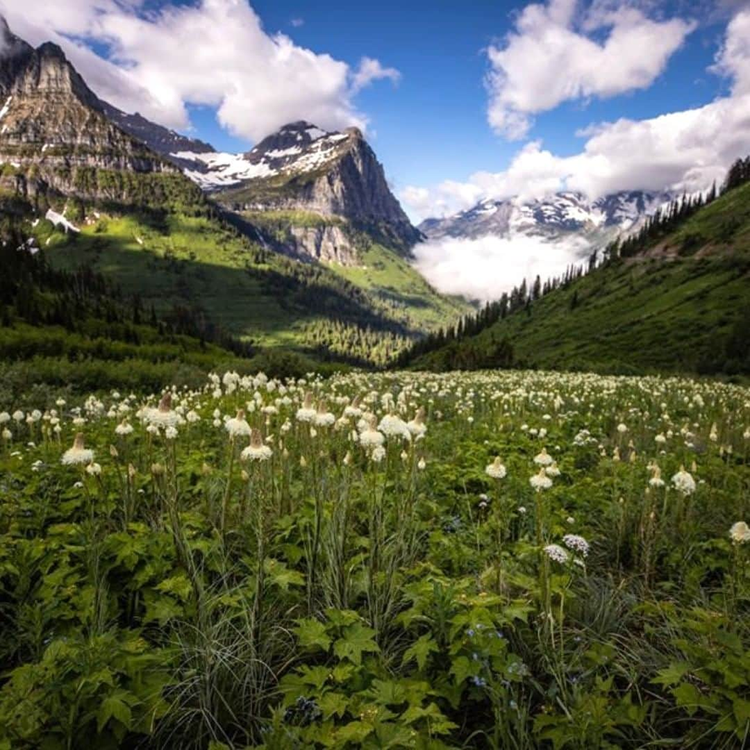 アメリカ内務省さんのインスタグラム写真 - (アメリカ内務省Instagram)「Glacier National Park in #Montana will make your head spin and take your breath away. As hiker-biker access is extended up the Going-to-the-Sun Road as far the Loop, visitors will ascend to an elevation higher than 6,000 feet, passing by dramatic mountain faces and flowering alpine meadows. In this harsh, but spectacular habitat, look out for mountain goats, bighorn sheep and the occasional brown bear lumbering by. Popular hiking trails can take you deeper into this dreamy land. Recreate responsibly by pausing to rest and drink water. It's a great excuse to stop and enjoy this scenery. Photo @GlacierNPS by #NationalPark Service. #Glacier #usinterior」7月8日 9時10分 - usinterior