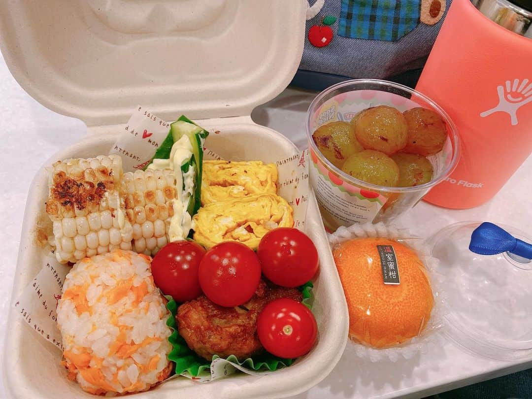 SHINOさんのインスタグラム写真 - (SHINOInstagram)「ここ最近のお弁当🍱 #オベンタグラム #おべんたぐらむ #おそうめん #肉ごぼうおにぎり #いさきのシソ塩おにぎり #鮭おにぎり #京都の舞コーン #チャーハンおにぎり #おじゃこゆかりおにぎり #美味しいもの送っていただいた #ありがとうございました #長女は根菜が好き #フルーツ好き #パンケーキ好評でした  #SHINO_lunchbox」7月8日 9時47分 - shino0605