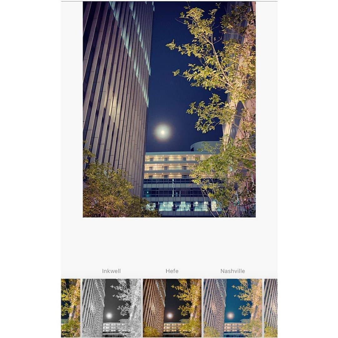 伊瀬茉莉也さんのインスタグラム写真 - (伊瀬茉莉也Instagram)「🎋💫 * 昨夜は七夕でしたね✨ 彦星と織姫は出会えたのだろうか… そして愛しの…<彼>の誕生日でもありました💓 キルア、お誕生日おめでとう！！🎉 * 毎年、たくさんの人にお祝いしてもらえて幸せだね @han_meg_han も素敵な投稿、ありがとう！😌💓 皆さんからの素敵なメッセージ、イラストもありがとうございました☺️🙏💓 これからも、いつまでも、よろしくね、キルア👍 * #happybirthday  #killua  #myproud」7月8日 10時15分 - mariya_ise