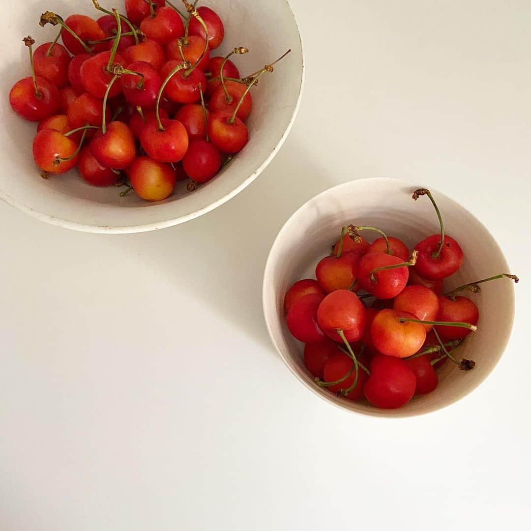 渡辺有子のインスタグラム：「紅秀峰🍒  山形から来てくれている教室の生徒さんから。  宝石ですね🍒 ありがとうございます。」