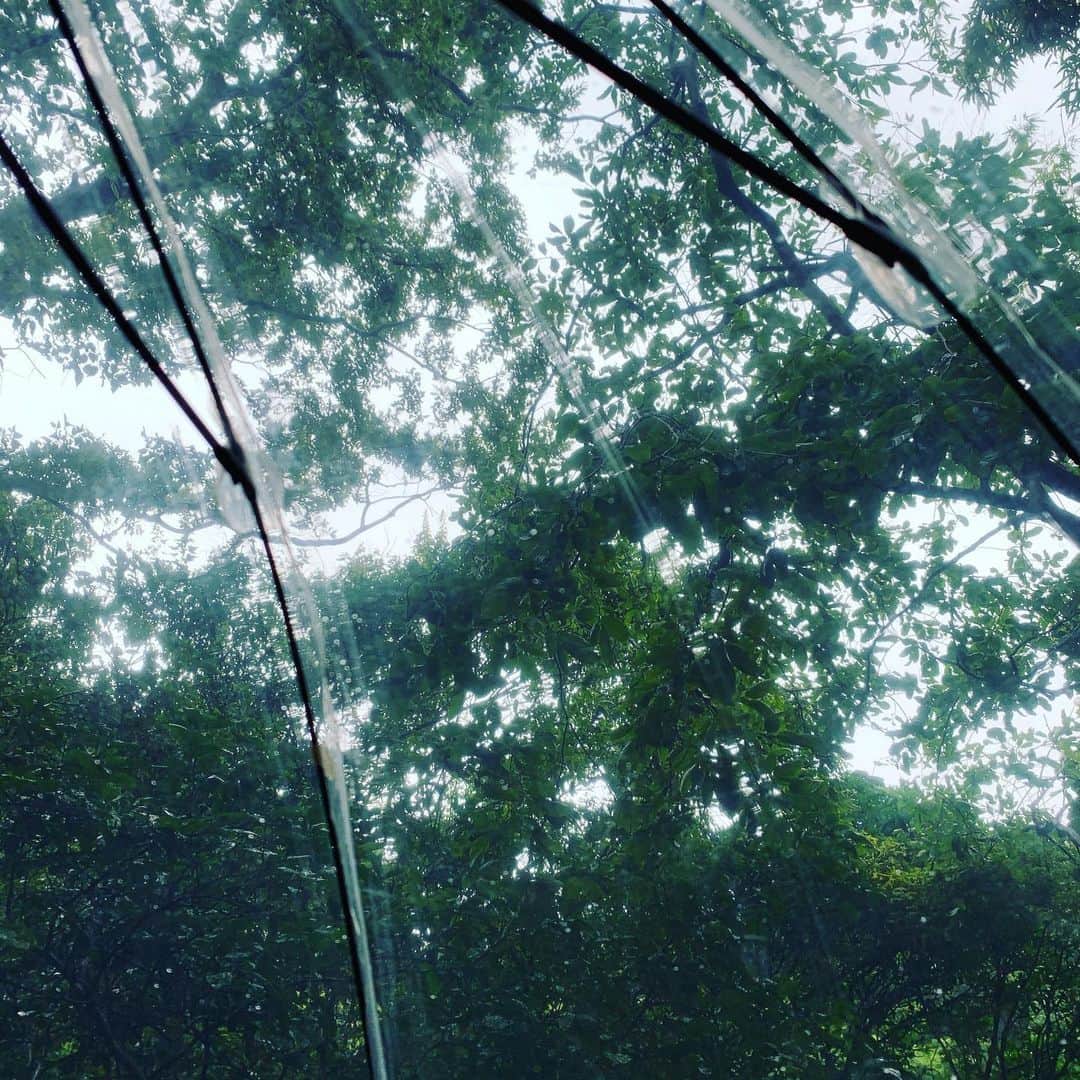 クリス智子さんのインスタグラム写真 - (クリス智子Instagram)「雨つづき。九州地方の大雨被害、お見舞い申し上げます。。毎年毎年、ひどすぎますね。怯みます。 どうか、無事に。  昨日は、都内、駅のホームも、この数年中、過去1,2を争う暴風🌪仁王立ちしても、危険を感じました。柱に寄る人も。最近は、お気に入りの傘を持ち歩けなくなり、とても残念。雨風の強さに、折れること必至。 （前に折れた）  ビニール傘、桜の頃は、🌸桜を見上げられるからという理由で、好んでさすのですが、今日も、ビニ傘で出陣することにしました。  みなさん、お気をつけて！  （2枚目は、昨年教えてもらった、ステッチがチャーミングな、コモチシタダです。今きてます。）  #prayforkyushu」7月8日 11時17分 - chris_tomoko