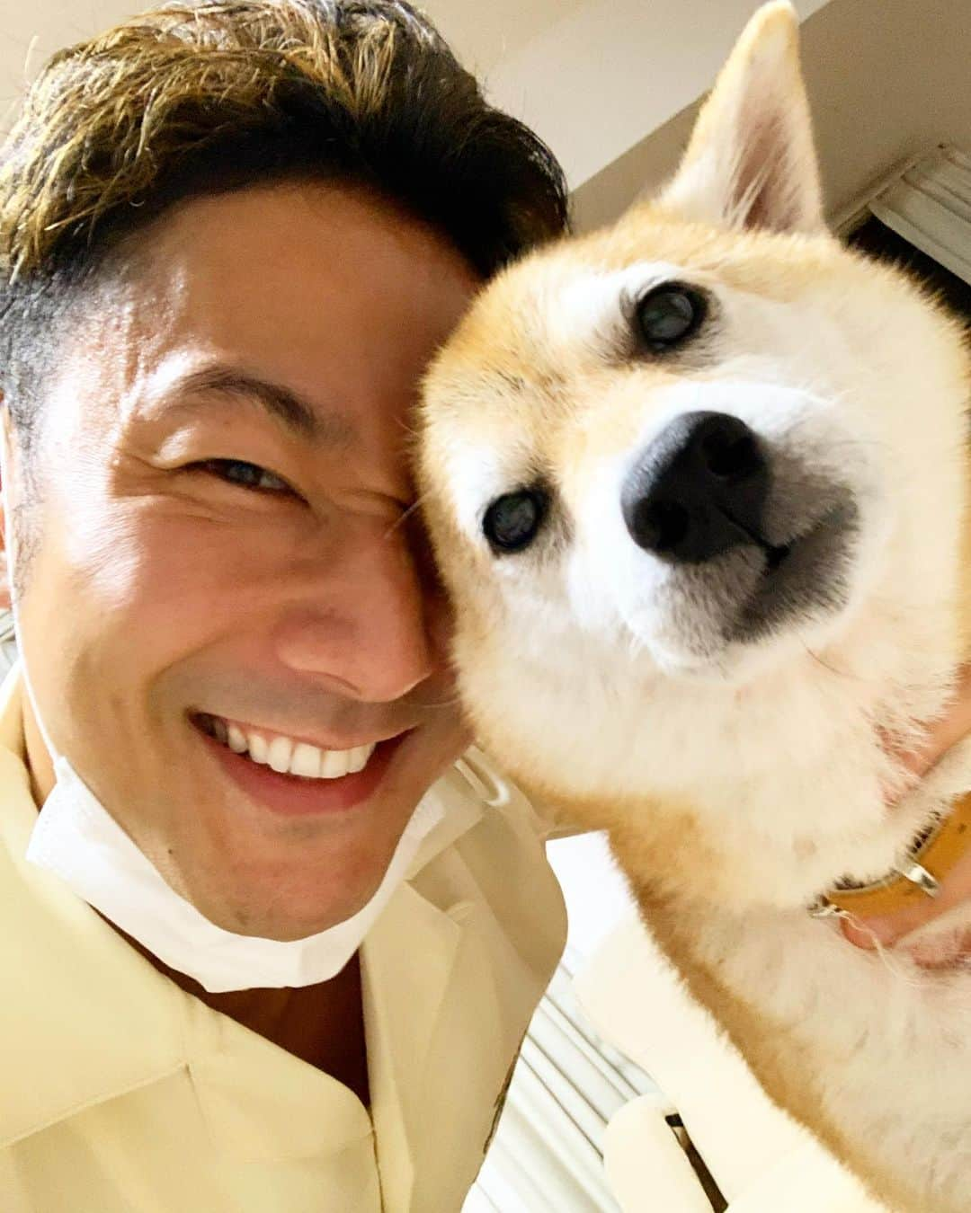 木尾陽平のインスタグラム：「アキナ山名さんの飼い犬｢おまめ｣ 山名さんの留守中、たまにお世話させてもうてます。  昨夜、おまめのインスタアカウントが出来ました @yamanaomame   えーっと…一晩でフォロワー数ブチ抜かれました。  多分もう言うこと聞いてくれません。  #山名おまめ #いや #おまめさん #マウント失敗#逆転 #でも #ラブい」