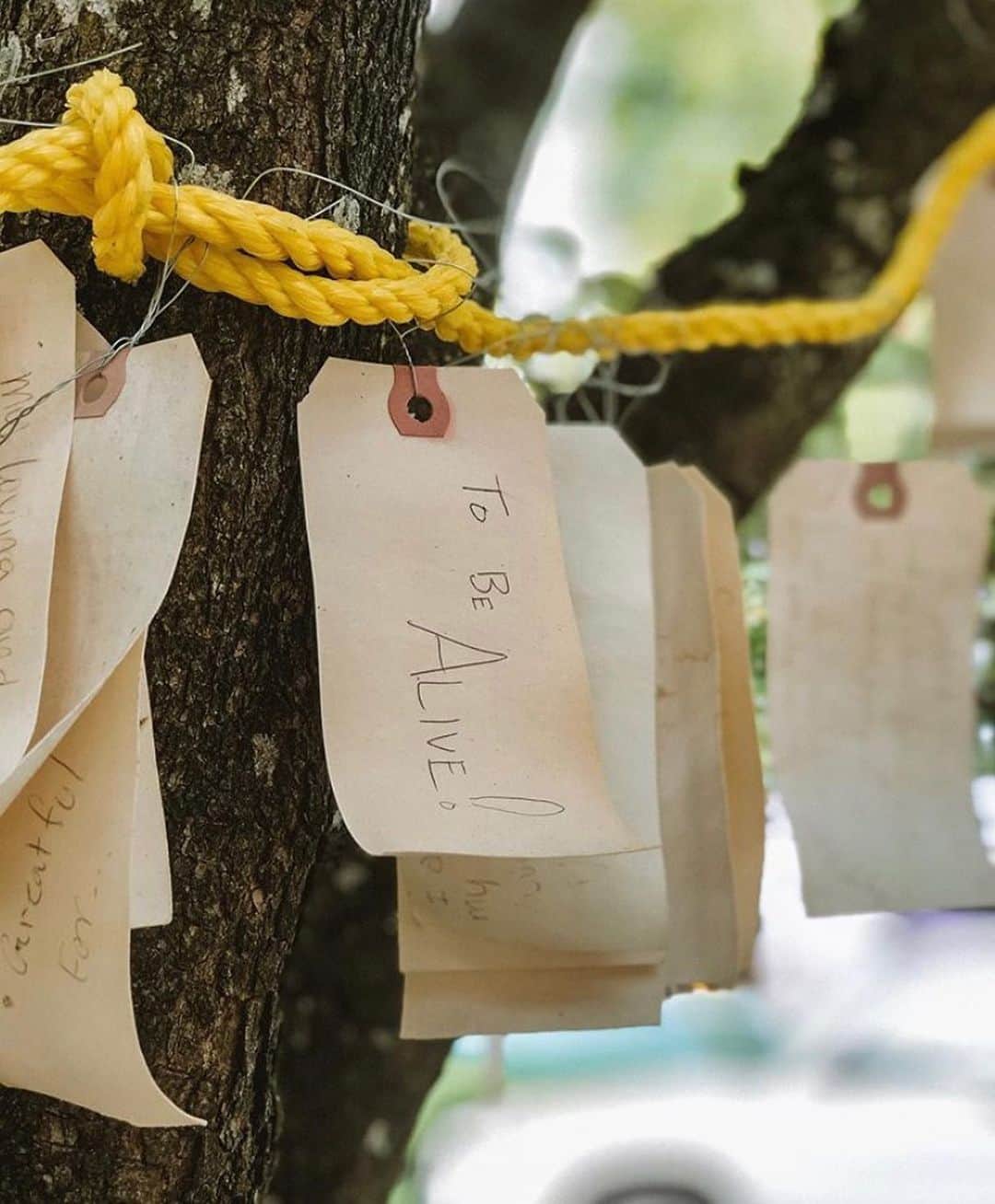 Portlandさんのインスタグラム写真 - (PortlandInstagram)「Hey Portland, what are you grateful for?  Sound off below👇 - 📷:@ryanthemermaid 📍SE Buckman #Portland #PDX #OregonNW #Grateful」7月8日 11時42分 - portland