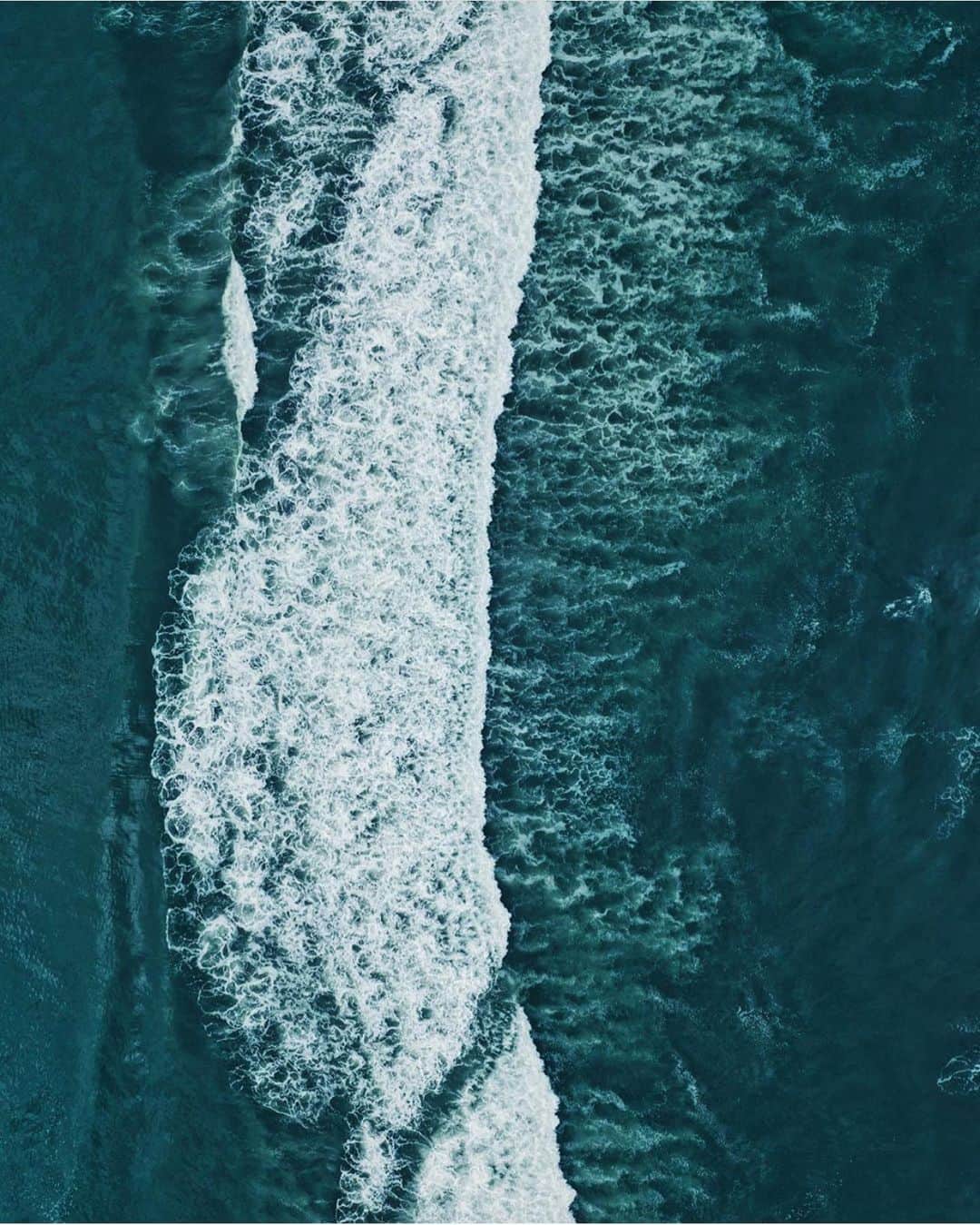 FOLKのインスタグラム：「It’s one of those shots that just makes you stop and look at it. It’s screaming SEE ME. FEEL ME. HEAR ME. Or perhaps it’s saying sea me. Photo by @peterblee」