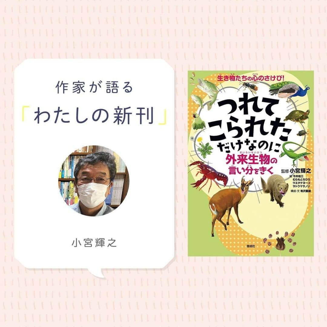 偕成社さんのインスタグラム写真 - (偕成社Instagram)「【著者インタビュー】外来生物は本当に悪者？　外来生物の「言い分」に耳をかたむけよう！  『つれてこられただけなのに 〜外来生物の言い分をきく〜』は、人間から悪者にされている外来種の生物が、不満を語るという設定の本。  この本の企画は、小宮輝之さんと、ライター有沢重雄さん、担当編集者がいろいろと話をするなかで、「各地でかいぼりをやっているけど、かいぼりってもともと悪化した水質やヘドロなど、目的はおもに水の環境をよくするためのものだったのに、最近なぜか外来生物の駆除が目的になっていない？」という疑問をもったことがきっかけでした。  今回、小宮輝之さんへのインタビューを、有沢重雄さんにお願いしました  記事は @kaiseisha_prのハイライトよりお読みいただけます！　  #つれてこられただけなのに　#外来性粒　#外来種　#帰化生物 #かいぼり #小宮輝之 #有沢重雄 #今井桂三 #むらもとちひろ #ウエタケヨーコ #サトウマサノリ #偕成社 #kaiseisha #公式アカウント #絵本 #児童書」7月8日 12時00分 - kaiseisha_pr