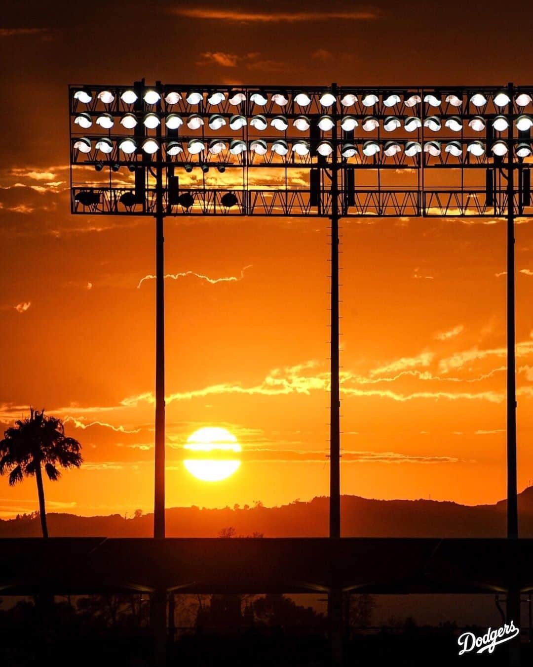Los Angeles Dodgersさんのインスタグラム写真 - (Los Angeles DodgersInstagram)「Best views in town.」7月8日 11時53分 - dodgers