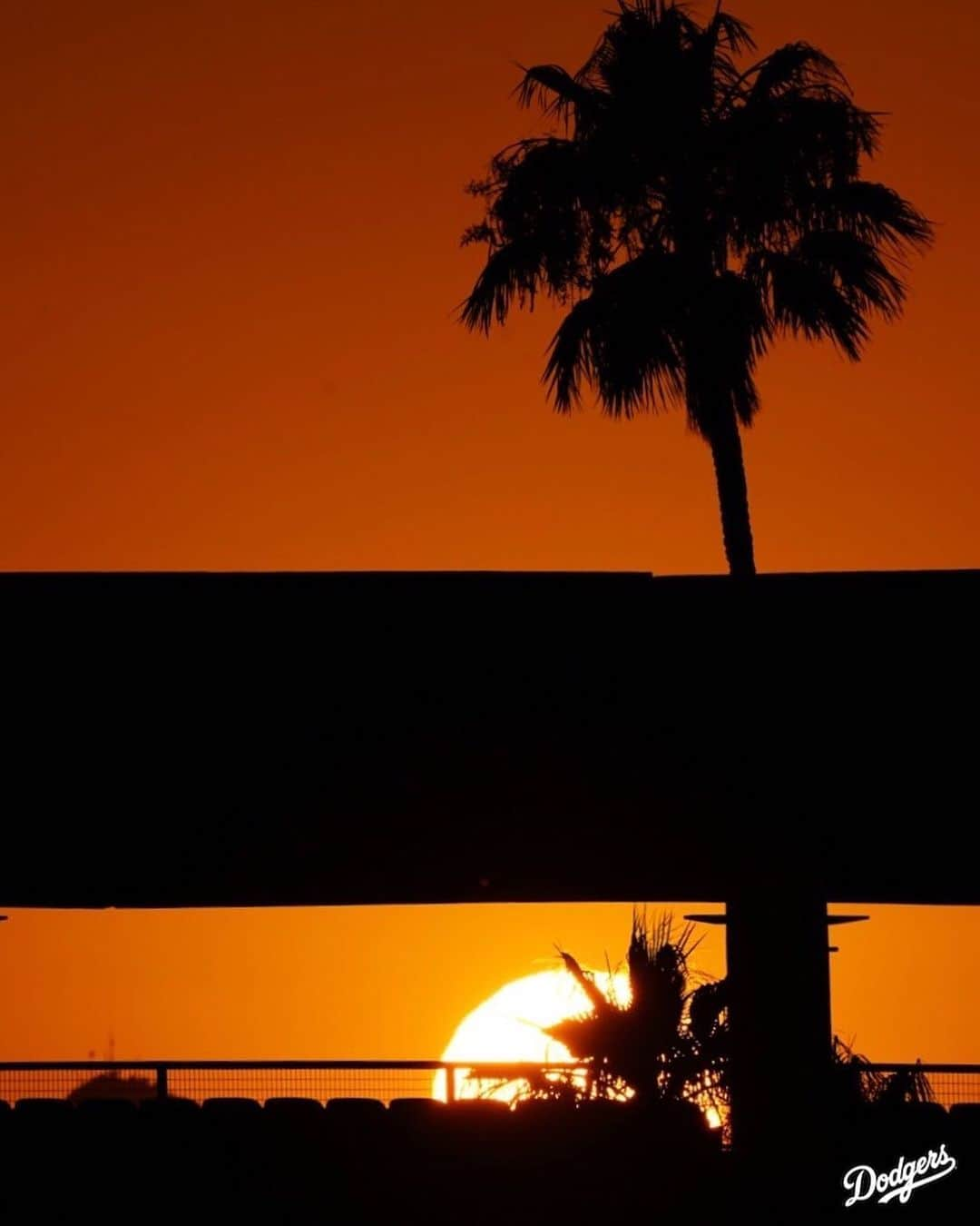 Los Angeles Dodgersさんのインスタグラム写真 - (Los Angeles DodgersInstagram)「Best views in town.」7月8日 11時53分 - dodgers