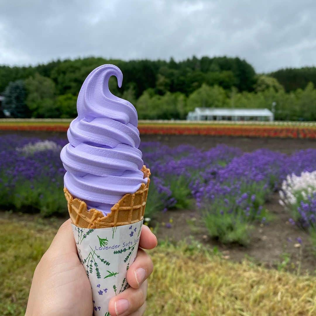 工藤舞のインスタグラム：「加工無しでこれ。  お姉ちゃんと母とまったりご鑑賞☺️💜  ラベンダーソフトも美味しかった☺️  #ラベンダー#富良野#北海道#道産子#北海道生まれ#ラベンダー畑#自然#ソフトクリーム#甘味#花」