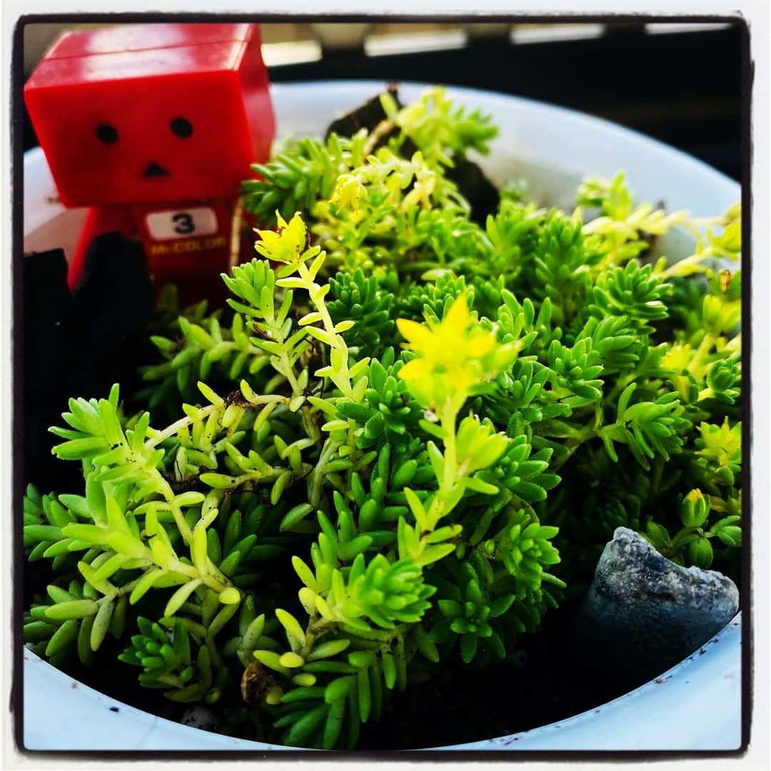 浅岡雄也のグルメインスタ