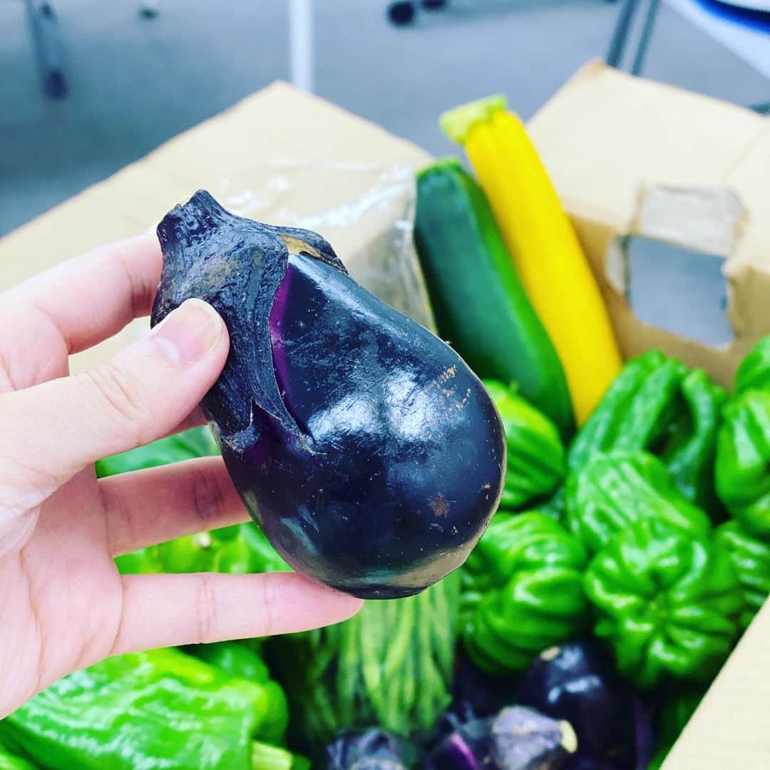 魚金さんのインスタグラム写真 - (魚金Instagram)「すごい🥒🥒🥒🥒🥒 新潟から朝採れ野菜が届きました！ コチラ、東北大震災の復興支援のために始まった事業で、新潟のおじいちゃんおばあちゃん達が育てた野菜が段ボールいっぱいに詰まってきます！ 今回はコロナの影響で、受注が減っているとの事で、魚金も定期便で美味しいお野菜を沢山送ってもらおうと考えています🥦🥕🍋 お楽しみにʕ•̫͡•ʕ•̫͡•ʔ•̫͡•ʔ•̫͡•ʕ•̫͡•ʔ•̫͡•ʕ•̫͡•ʕ•̫͡•ʔ•̫͡•ʔ•̫͡•ʕ•̫͡•ʔ•̫͡•ʔ #魚金 #uokin #野菜たっぷり #朝採れ野菜 #新潟 #おじいちゃん #おばあちゃん #ありがとう」7月8日 17時45分 - uokin_koho
