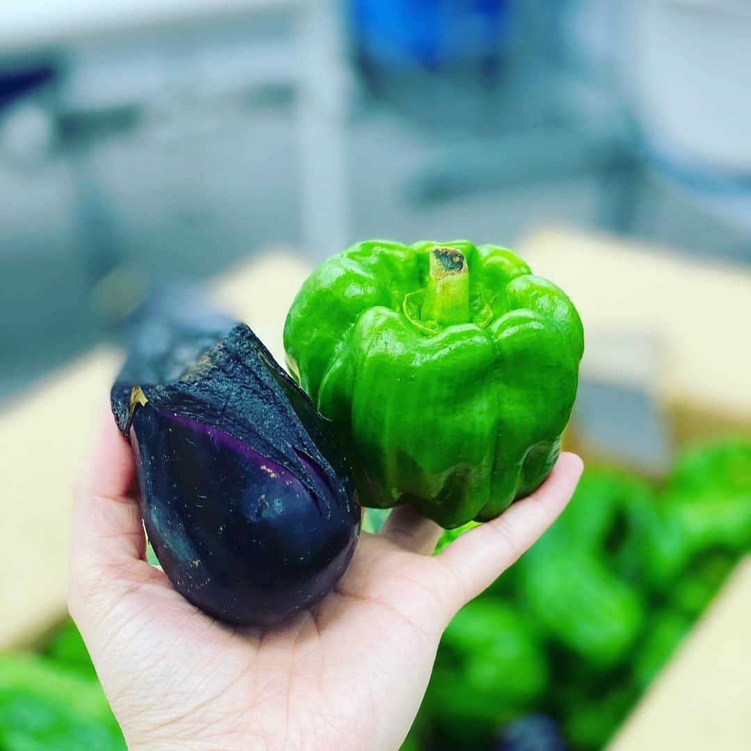 魚金さんのインスタグラム写真 - (魚金Instagram)「すごい🥒🥒🥒🥒🥒 新潟から朝採れ野菜が届きました！ コチラ、東北大震災の復興支援のために始まった事業で、新潟のおじいちゃんおばあちゃん達が育てた野菜が段ボールいっぱいに詰まってきます！ 今回はコロナの影響で、受注が減っているとの事で、魚金も定期便で美味しいお野菜を沢山送ってもらおうと考えています🥦🥕🍋 お楽しみにʕ•̫͡•ʕ•̫͡•ʔ•̫͡•ʔ•̫͡•ʕ•̫͡•ʔ•̫͡•ʕ•̫͡•ʕ•̫͡•ʔ•̫͡•ʔ•̫͡•ʕ•̫͡•ʔ•̫͡•ʔ #魚金 #uokin #野菜たっぷり #朝採れ野菜 #新潟 #おじいちゃん #おばあちゃん #ありがとう」7月8日 17時45分 - uokin_koho