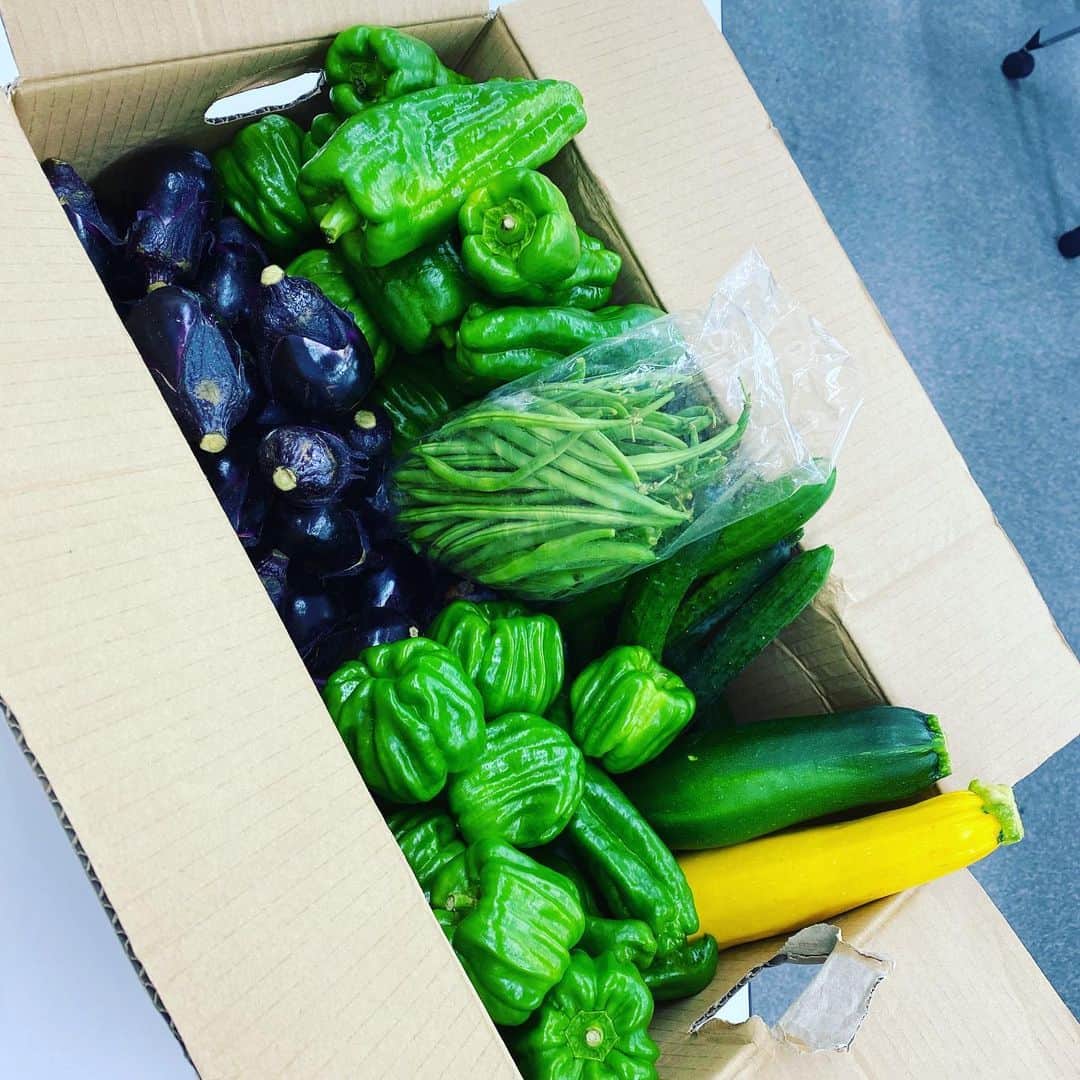 のインスタグラム：「すごい🥒🥒🥒🥒🥒 新潟から朝採れ野菜が届きました！ コチラ、東北大震災の復興支援のために始まった事業で、新潟のおじいちゃんおばあちゃん達が育てた野菜が段ボールいっぱいに詰まってきます！ 今回はコロナの影響で、受注が減っているとの事で、魚金も定期便で美味しいお野菜を沢山送ってもらおうと考えています🥦🥕🍋 お楽しみにʕ•̫͡•ʕ•̫͡•ʔ•̫͡•ʔ•̫͡•ʕ•̫͡•ʔ•̫͡•ʕ•̫͡•ʕ•̫͡•ʔ•̫͡•ʔ•̫͡•ʕ•̫͡•ʔ•̫͡•ʔ #魚金 #uokin #野菜たっぷり #朝採れ野菜 #新潟 #おじいちゃん #おばあちゃん #ありがとう」