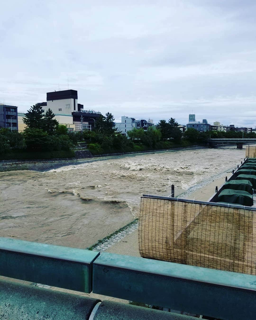 谷口キヨコさんのインスタグラム写真 - (谷口キヨコInstagram)「京都鴨川も見たことないような茶色の川です。もう降らないでください。 #京都 #鴨川 #雨」7月8日 12時54分 - kiyokotaniguchi