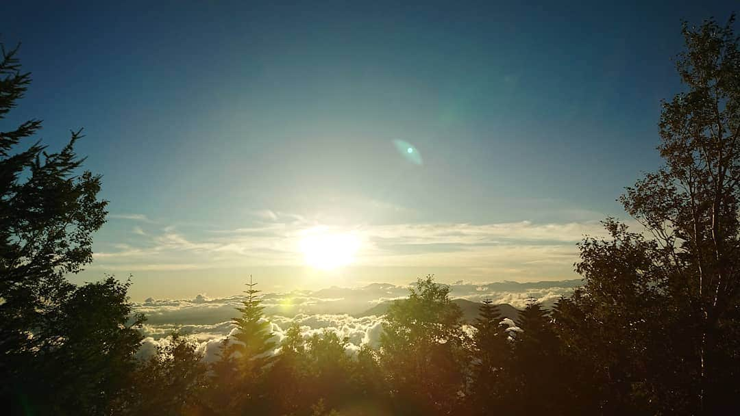 桜花さんのインスタグラム写真 - (桜花Instagram)「各地の天気が大変心配です。。  危険なところは本当に本当にすぐ避難をしてくださいね(>_<)  安全第一、健康第一！です🍀  昨年、富士山五合目からみた雲海🌷 きれいでした✨  #雨  #雨に気をつけて #安全第一 #災害  #富士山からの景色  #富士山  #雲海」7月8日 13時55分 - mountainohka