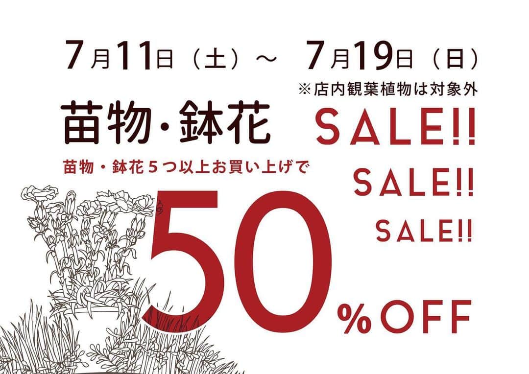 MILLE ECLAT.のグルメインスタ