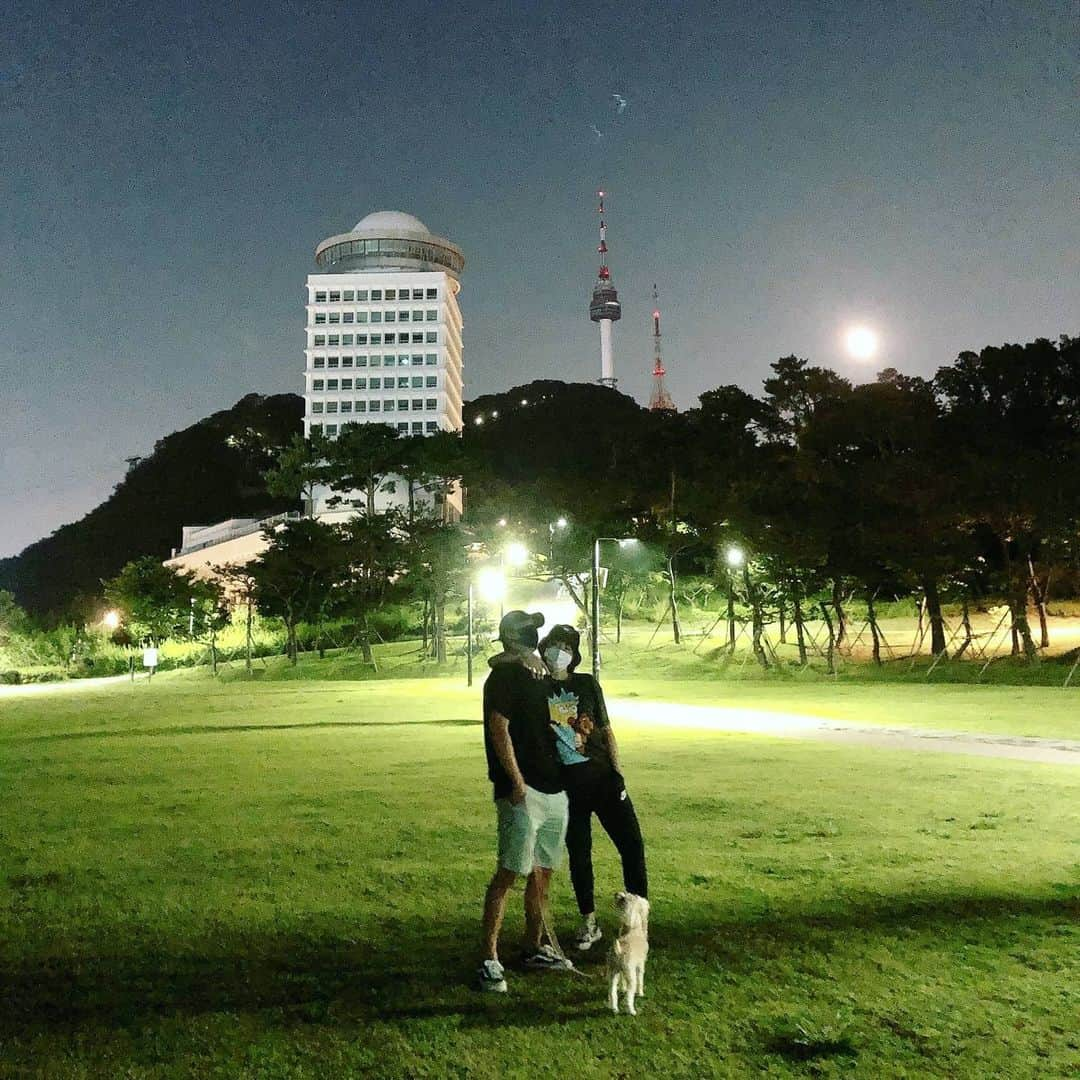 カンナム さんのインスタグラム写真 - (カンナム Instagram)「남산 위에 강북🐶 #staysafe」7月8日 14時54分 - kangkangnam