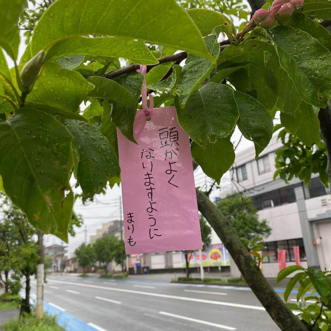 栗田善太郎さんのインスタグラム写真 - (栗田善太郎Instagram)「中々インスタを上げるには憚れる日々でしたが、少しでもほっこりして頂きたく。 豪雨明けの今朝の散歩から。 去年も同じ街路樹にあったなぁ。」7月8日 15時07分 - kurizen01