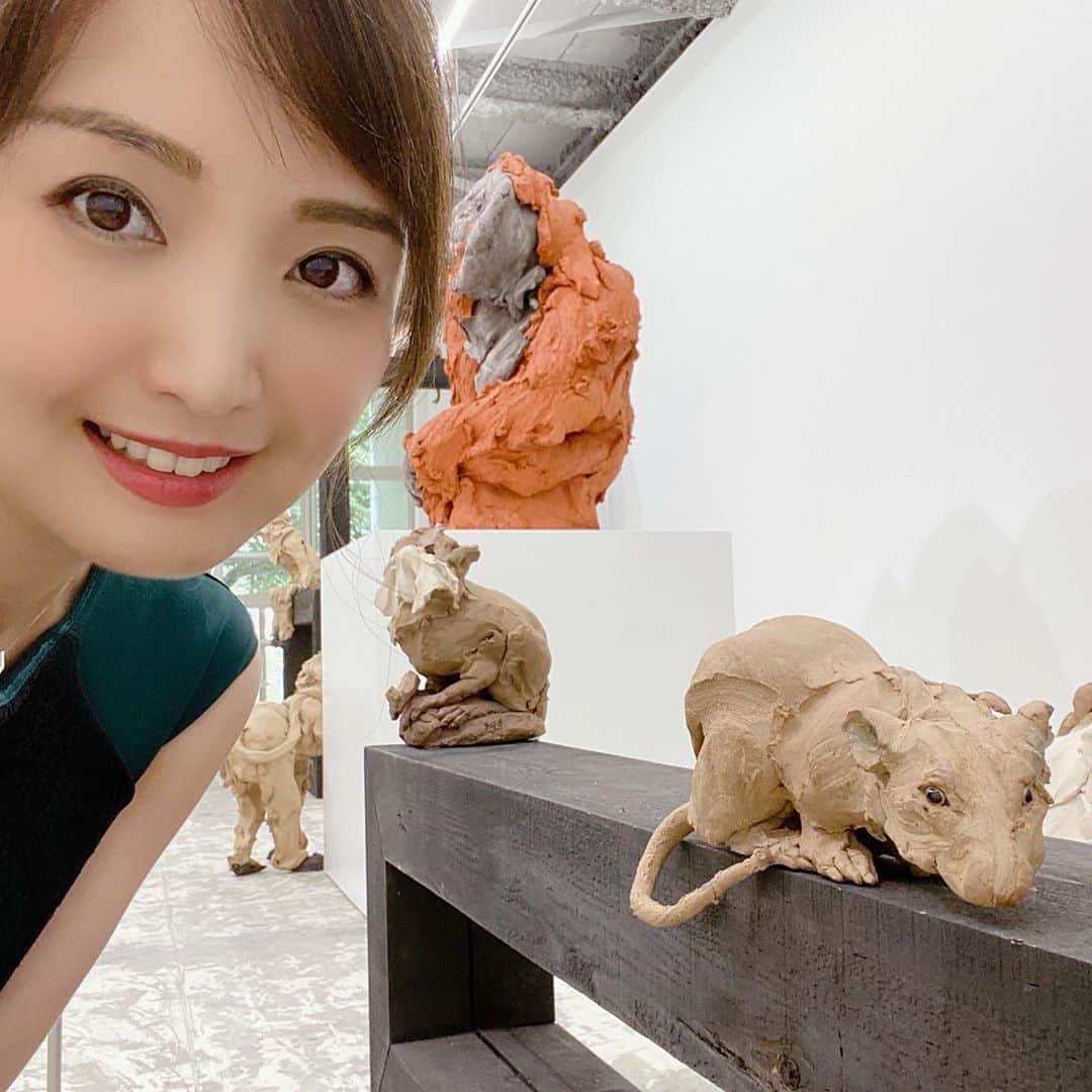 白石小百合さんのインスタグラム写真 - (白石小百合Instagram)「. 動物の表情や躍動感、見れば見るほど愛らしい💕 🐿🐭🐒　by #stephaniequayleartist . #art #conpemporaryart #kamukanazawa #artmuseum」7月8日 15時16分 - sayurishirais