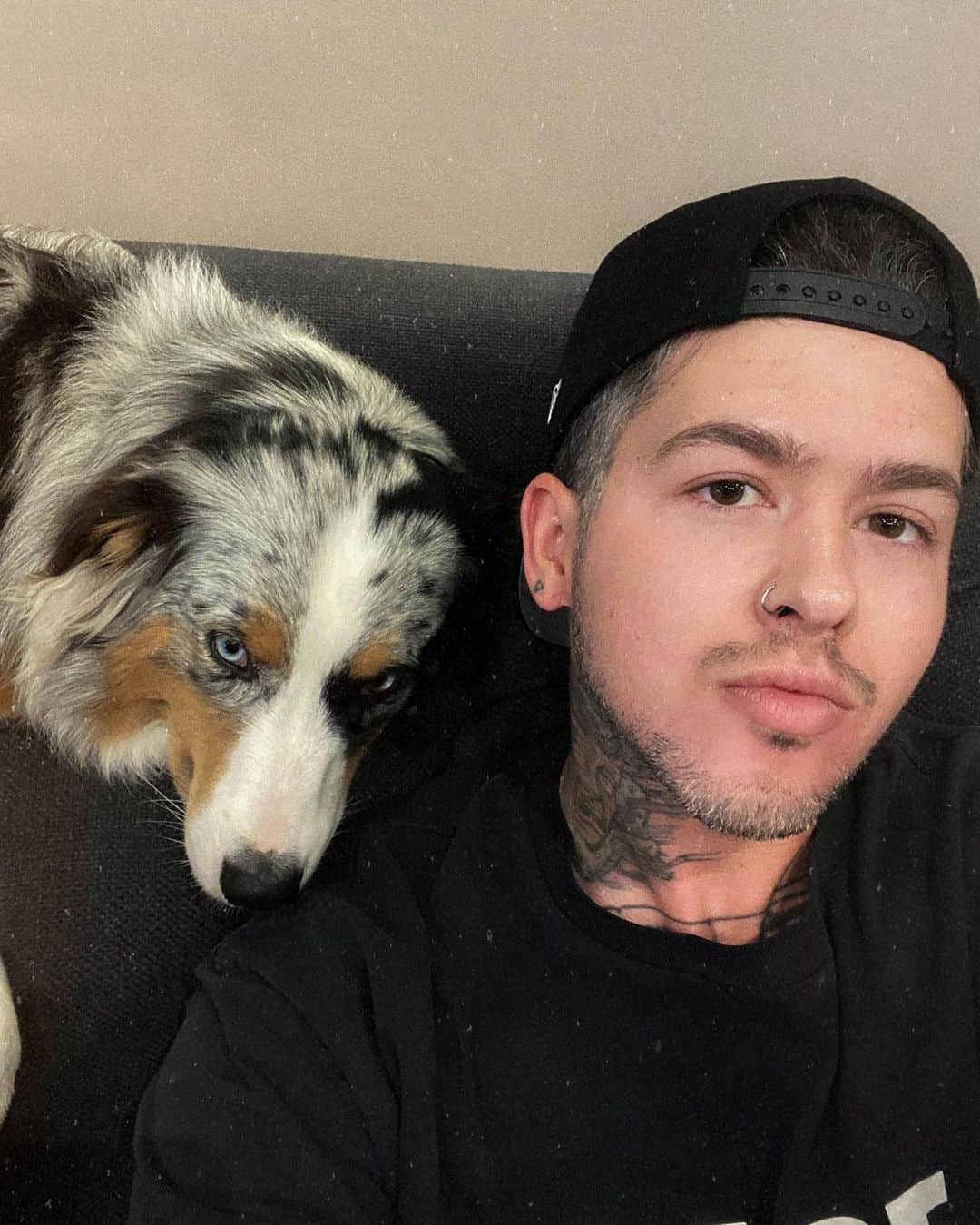 T・ミルズのインスタグラム：「i have more gray hair than the dog」