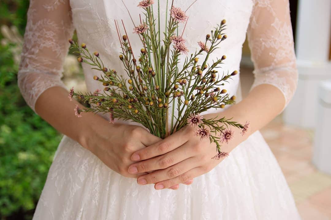 メゾン エルミタージュのグルメインスタ