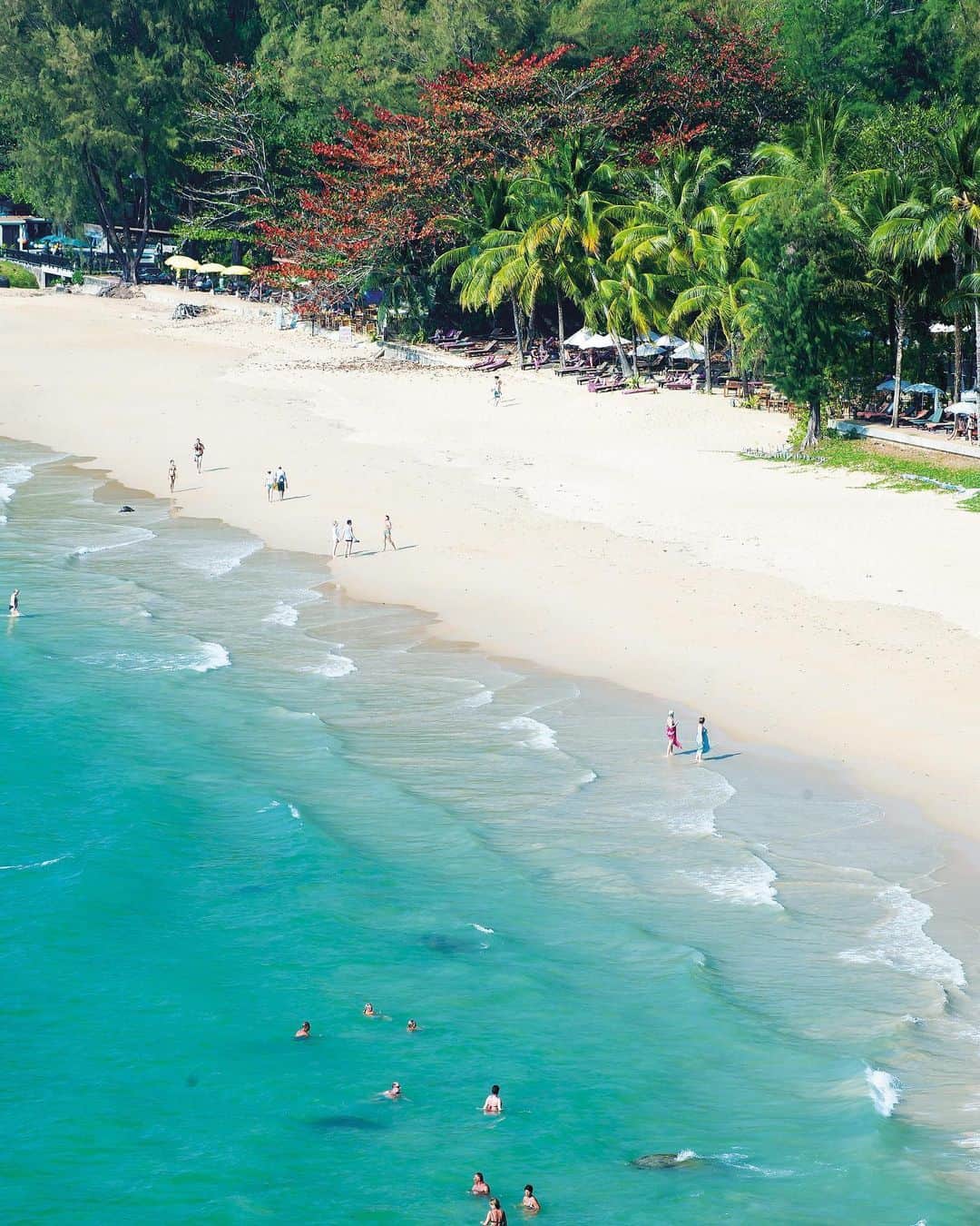 タイ国政府観光庁さんのインスタグラム写真 - (タイ国政府観光庁Instagram)「・﻿ ／⠀﻿ タイでどこ行く❓何する❓⠀﻿ 今週の注目スポットは...🇹🇭✨⠀﻿ ＼⠀﻿ ﻿ 🌟今月のテーマ：アンダマン海のリゾート﻿ 📍カオラック﻿ ﻿ 今週は、美しい海とビーチが魅力のカオラックに注目👀✨⠀ ﻿ ﻿ アンダマン海に面するカオラックは、世界中のダイバー憧れの場所🐠ジンベエザメやマンタと遭遇率の高いシミラン諸島やスリン諸島の玄関口として知られています🦈✨﻿ ﻿ ヤシの木々に囲まれたホワイトサンドの美しいビーチには、近年、高級リゾートが続々オープン👏洗練された雰囲気のなか、ゆったりくつろげると人気です💕﻿ ﻿ さらに、約4,000㎢の広さを誇るスラーターニー県のカオソック国立公園も、足を運んでほしいスポット⛰広大な熱帯ジャングルには、野生の象やトラ、豹といった希少動物が棲息するほか、映画「アバター」の世界を彷彿とさせるチャオラン湖には、神秘的な景観が広がります😮✨﻿ ﻿ ＜アクセス＞﻿ プーケット国際空港から車で約１時間20分🚗﻿ ﻿ #タイ #カオラック #シミラン諸島 #スリン諸島 #カオソック国立公園 #タイビーチ #絶景ビーチ #タイリゾート #リゾート #海外リゾート #こんなタイ知らなかった #もっと知りタイ #旅好きな人と繋がりたい #旅行好きな人と繋がりたい #海外旅行 #thailand #khaolak #similan #surin #khaosoknationalpark #thaibeach #instabeach #thairesort #thailandhiddengems #amazingthailand #thailandtravel #thailandtrip #thai #thaistagram #lovethailand」7月8日 18時33分 - amazingthailandjp