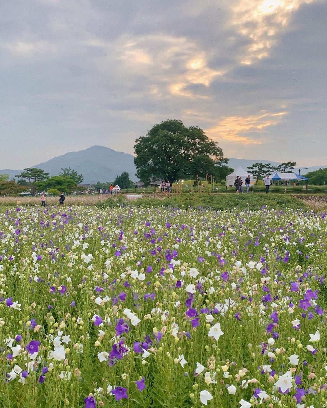 ウィ・ソンヒさんのインスタグラム写真 - (ウィ・ソンヒInstagram)7月8日 18時56分 - _seong_hee