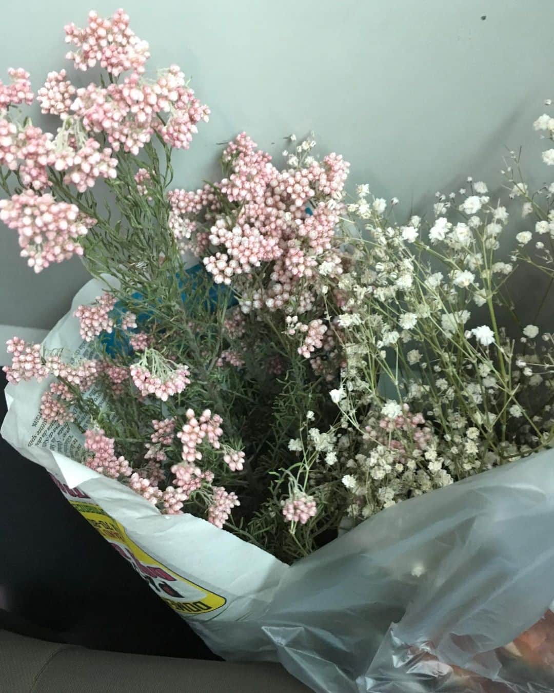 lululukululuさんのインスタグラム写真 - (lululukululuInstagram)「花💐？ #花#フラワー」7月8日 19時18分 - tajitajicat