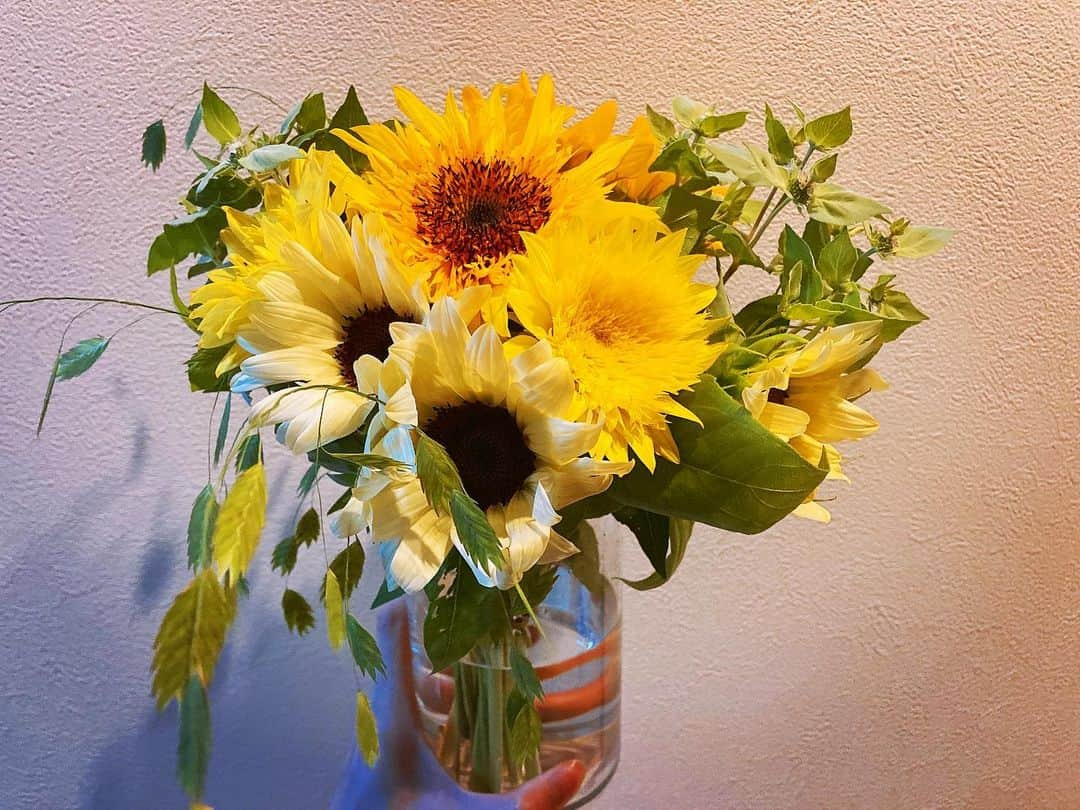 永島聖羅さんのインスタグラム写真 - (永島聖羅Instagram)「ひまわり🌻 . . 色んな種類のひまわりが また可愛さ倍増☺︎❤︎ . . ひまわり畑行きたくなりますね〜 . . お家にお花があると気分上がる。 . . #ひまわり #向日葵 #花  #お花のある暮らし #夏  #sunflower #yellow  #girasol #amarillo #summer  #seguir #sigueme #sígueme」7月8日 20時11分 - seira_nagashima