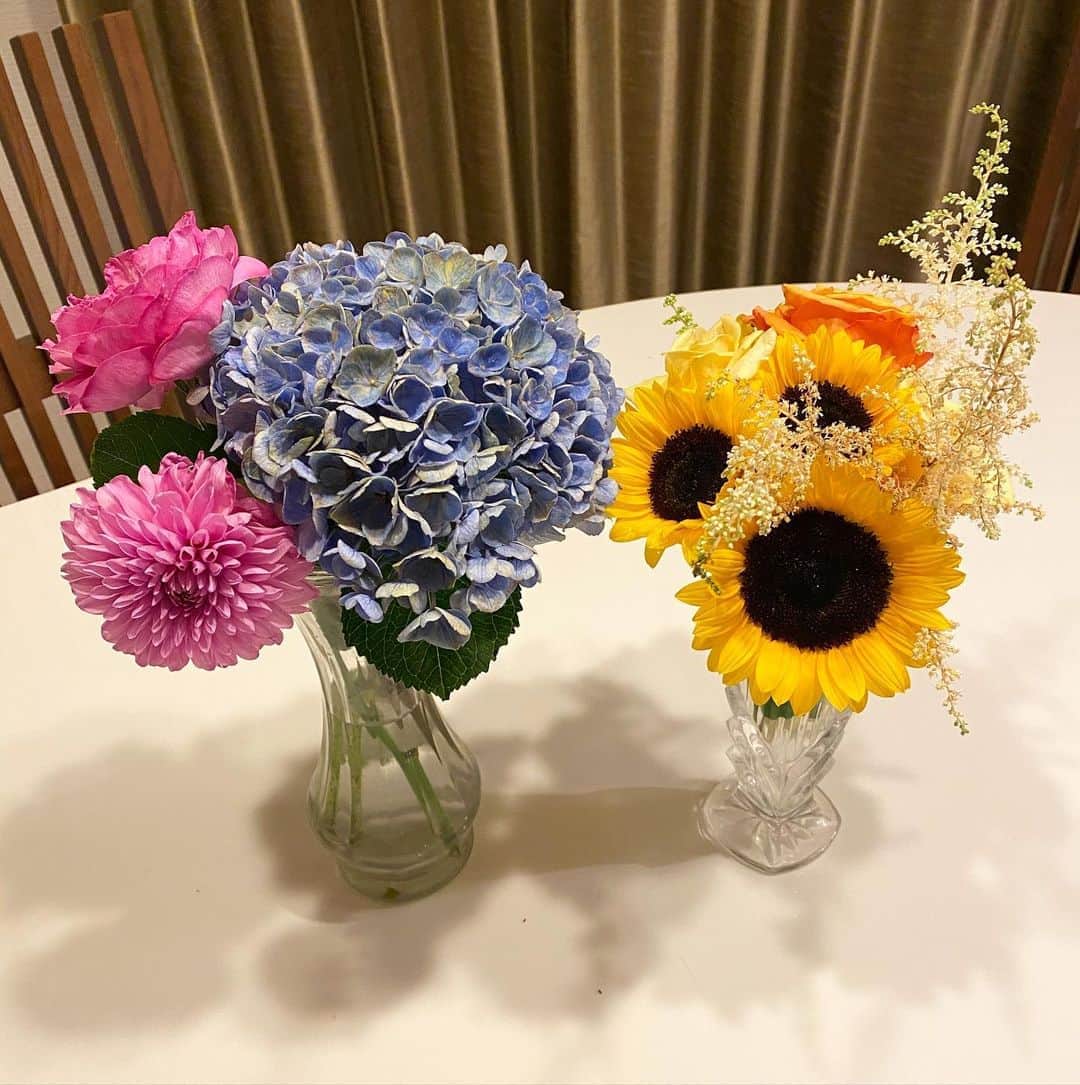 川島恵さんのインスタグラム写真 - (川島恵Instagram)「先日、お花をいただきました🌻彩鮮やかでパッと明るくなります！ありがとうございます！ ・ #お花 #花のある暮らし #アジサイ #ひまわり」7月8日 20時16分 - mrt.kawashima