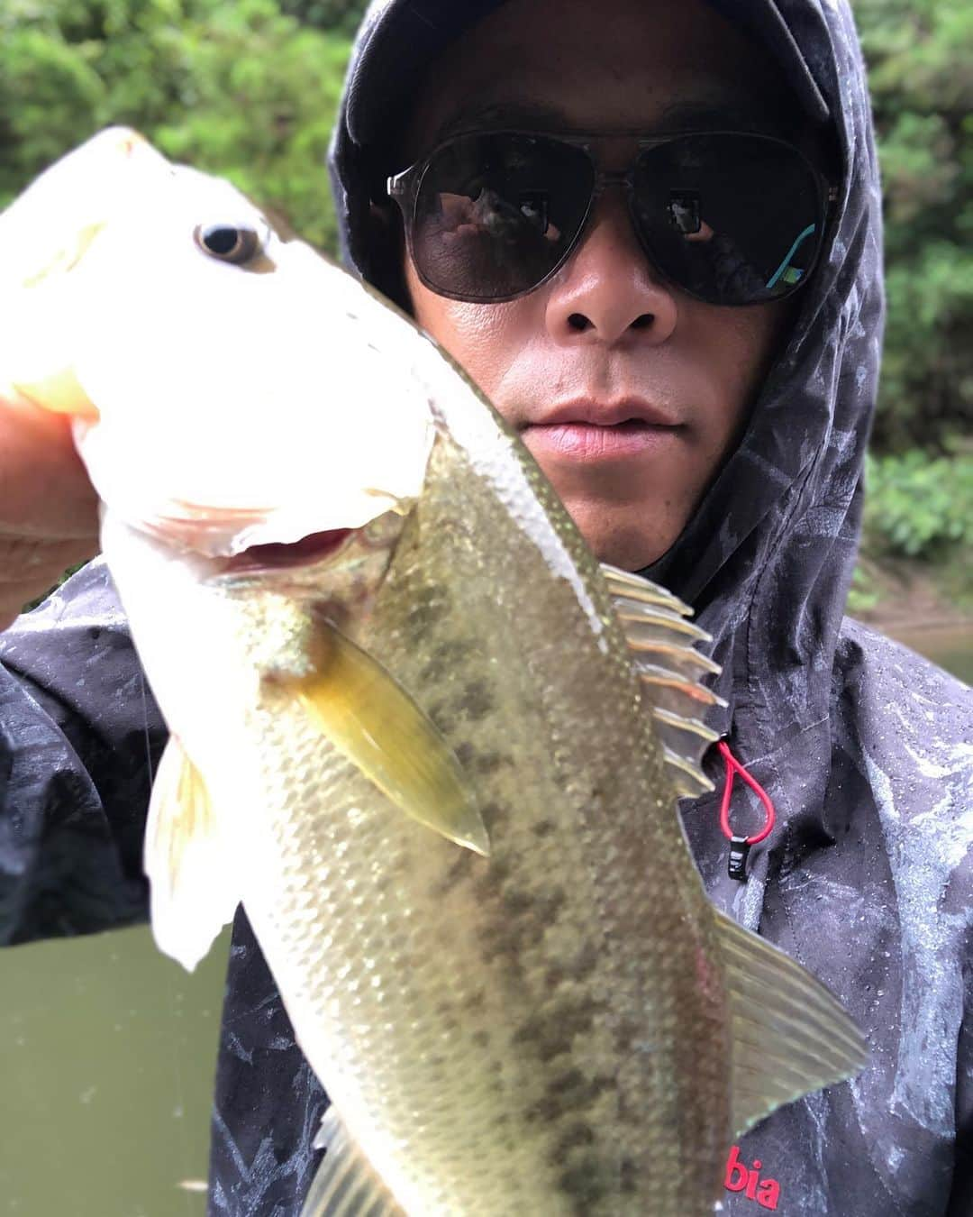 佐々木洋平さんのインスタグラム写真 - (佐々木洋平Instagram)「雨の中、亀山ダムでバスフィッシング🎣  なかなか難しかったwww  ゲーリーヤマモトのレッグワームダウンショットとジャッカルのソウルシャッドでなんとかw  #レッグワーム  #レッグワームダウンショット  #ソウルシャッド  #ゲーリーヤマモト #ジャッカル  #hideup  #varivas」7月8日 20時57分 - panicrew_yohey