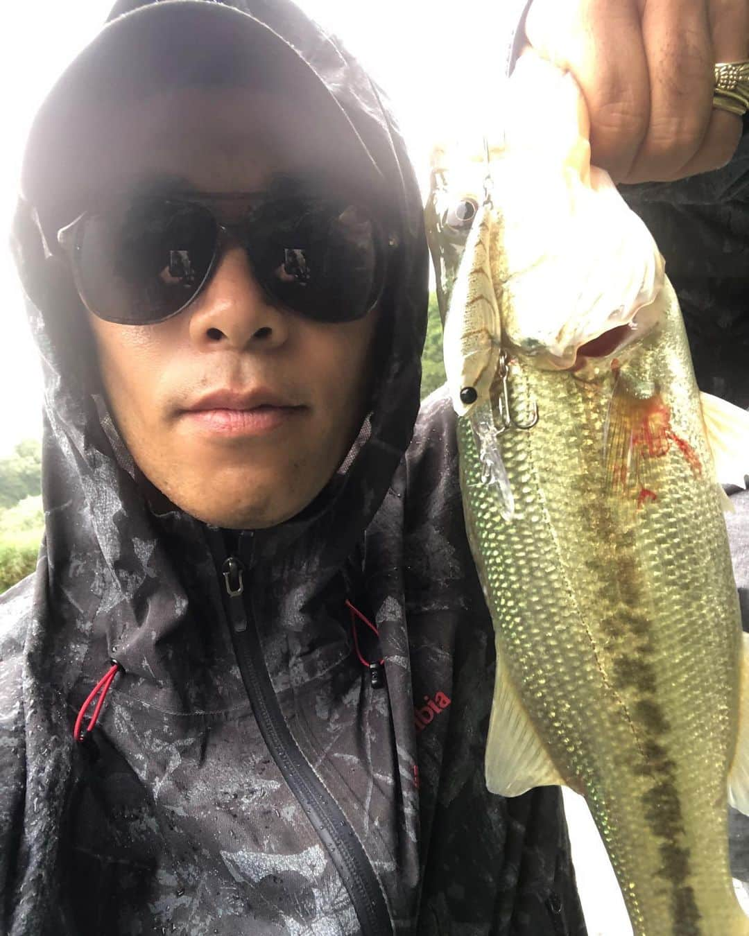 佐々木洋平さんのインスタグラム写真 - (佐々木洋平Instagram)「雨の中、亀山ダムでバスフィッシング🎣  なかなか難しかったwww  ゲーリーヤマモトのレッグワームダウンショットとジャッカルのソウルシャッドでなんとかw  #レッグワーム  #レッグワームダウンショット  #ソウルシャッド  #ゲーリーヤマモト #ジャッカル  #hideup  #varivas」7月8日 20時57分 - panicrew_yohey