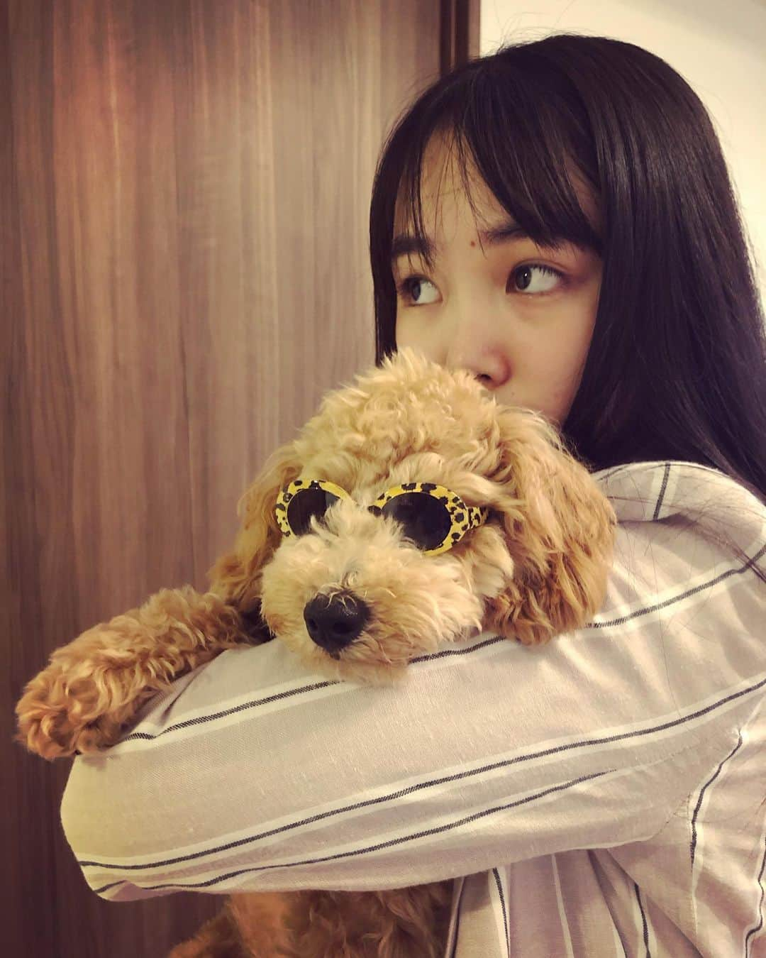 大友樹乃さんのインスタグラム写真 - (大友樹乃Instagram)「かっこいいね😎🐶  #ぷぷ#大きくなったなぁ #😎」7月8日 21時23分 - juno.otomo